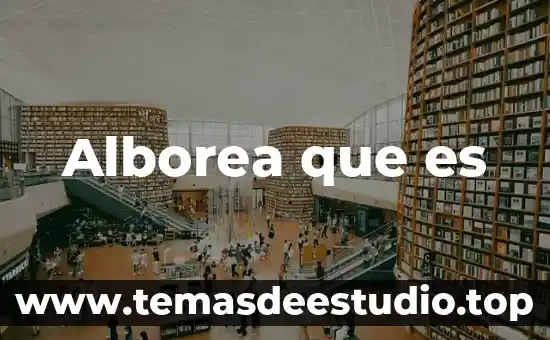 Que es v.c.m en el embarazo que significa 5 Alborea que es