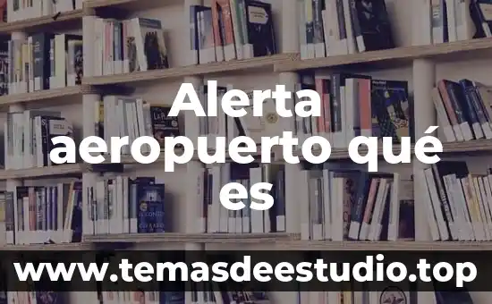 Qué es alerta amber concepto 7 Alerta aeropuerto qué es