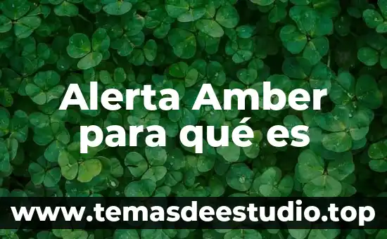 Qué es alerta amber concepto 5 Alerta Amber para qué es