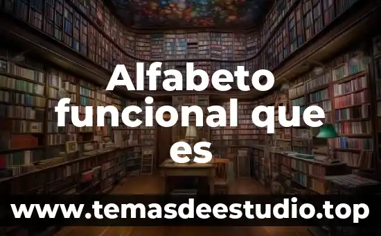 Qué es una forma funcional en econometría 4 Alfabeto funcional que es