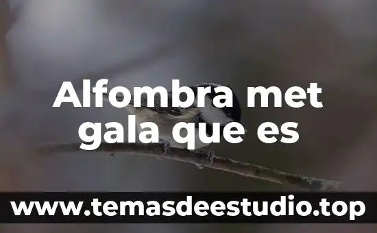 Zonas turisticas que es 7 Alfombra met gala que es