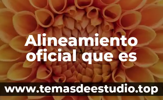 Que es el documento oficial de identidad 3 Alineamiento oficial que es