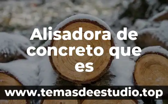Alisadora de concreto que es