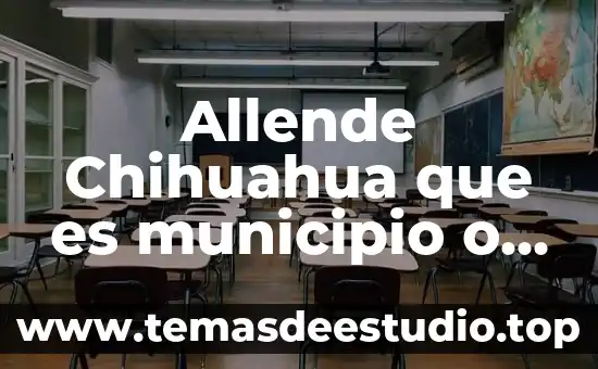 Para max weber que es el municipio formal 4 Allende Chihuahua que es municipio o estado