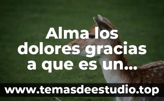 Qué es la filosofía subyacente en Juana de Arco 3 Alma los dolores gracias a que es un sedante
