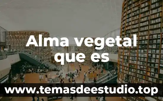 Que es la celuls vegetal 3 Alma vegetal que es