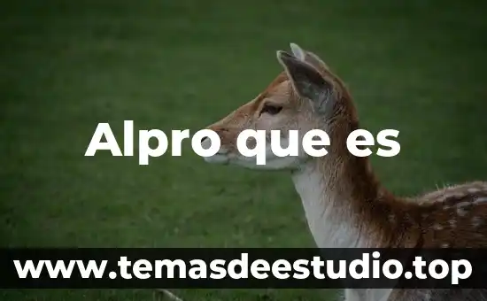 Por que es importante la etica para la sociedad 4 Alpro que es