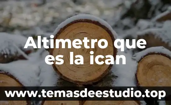 2CO2 que es 8 Altimetro que es la ican