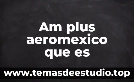 Am plus aeromexico que es