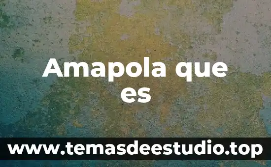 Amapola que es