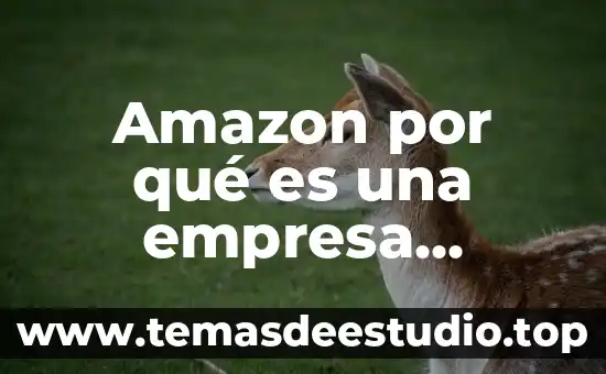 Que es distribucion de planta en una empresa 4 Amazon por qué es una empresa innovadora y rs