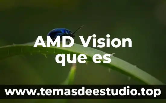 AMD Vision que es