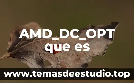 Abstracción verbal que es 6 AMD_DC_OPT que es