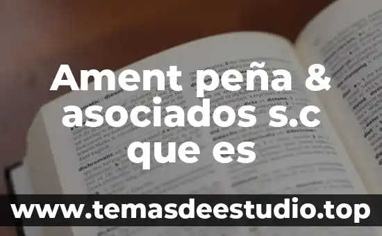 Que es la pieza figurillas del museo nacional de antropología 5 Ament peña & asociados s.c que es