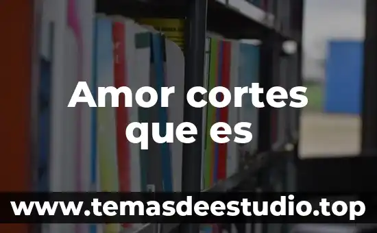 Que es la doctrina para el derecho internacional publico 6 Amor cortes que es