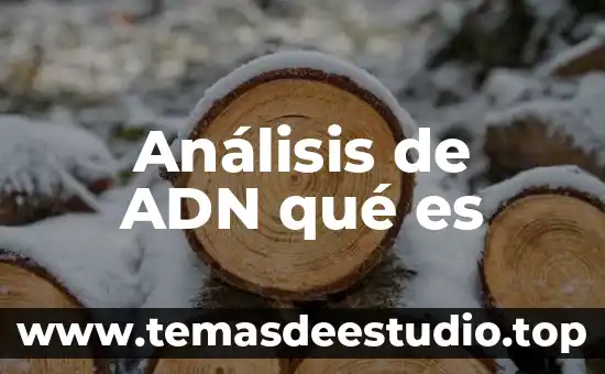 Que es el adn en el celular 7 Análisis de ADN qué es