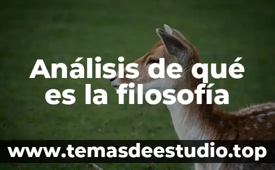 Que es el neorrealismo en filosofia 3 An谩lisis de qu茅 es la filosof铆a