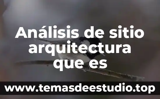 Análisis de sitio arquitectura que es
