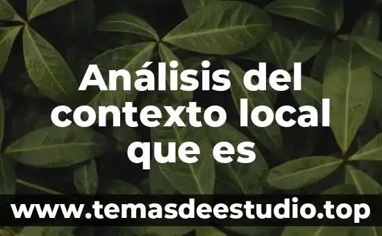 Que es el lenguaje y cultura 4 AnƔlisis del contexto local que es