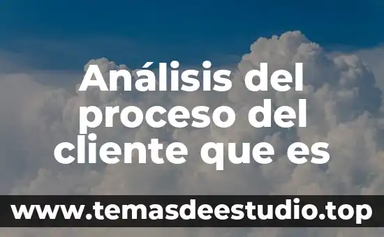 Análisis del proceso del cliente que es