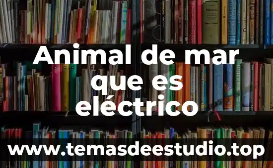 Que es un animal llamado arlomo 4 Animal de mar que es eléctrico