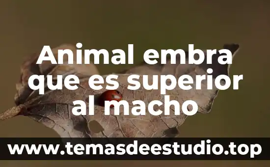 Cuál es el animal que es hembra y macho 7 Animal embra que es superior al macho