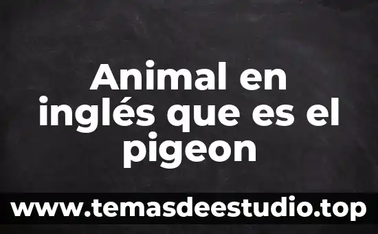 Que es page range en ingles 4 Animal en inglés que es el pigeon