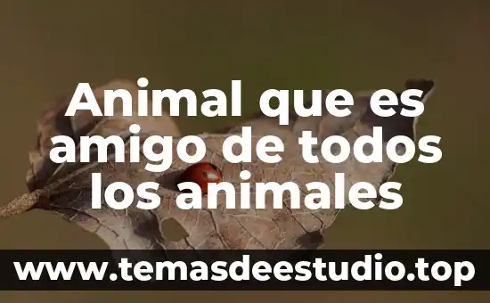 Que es un diagrama de la respiracion animales 3 Animal que es amigo de todos los animales