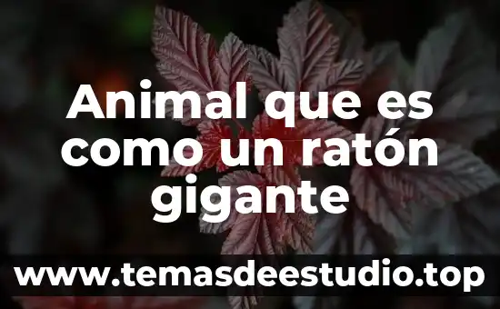 Para que es el raton de la computadora 3 Animal que es como un ratón gigante