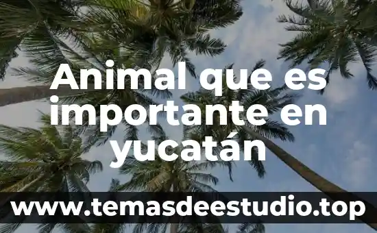 Que es cuervo animal 6 Animal que es importante en yucatán