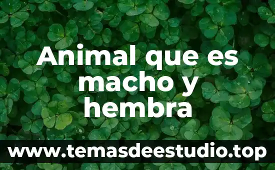 Cuál es el animal que es hembra y macho 6 Animal que es macho y hembra