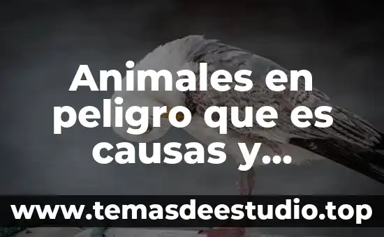 Que es lo que causa que los animales se extingan 6 Animales en peligro que es causas y consecuencias