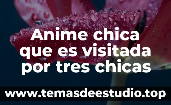 Que es ser una chica fea 7 Anime chica que es visitada por tres chicas