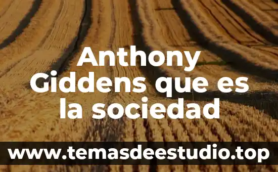 Que es la funcionalidad en la sociedad 4 Anthony Giddens que es la sociedad