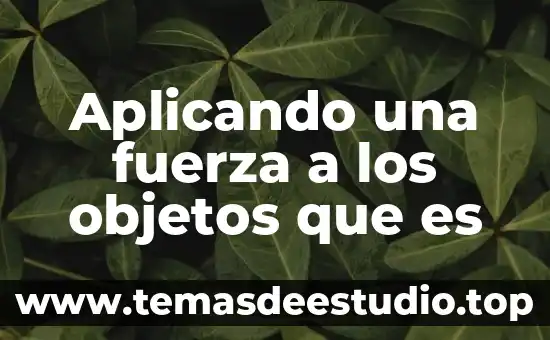 Que es persistencia de objetos 5 Aplicando una fuerza a los objetos que es
