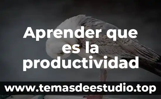 Que es lo basico que debo aprender del idioma ingles 7 Aprender que es la productividad