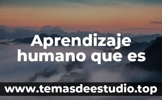 Que es lo que le conviene comer al ser humano 3 Aprendizaje humano que es