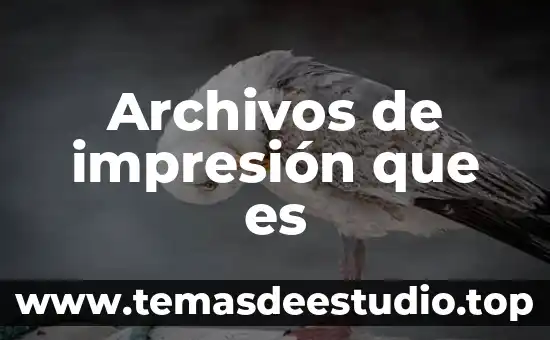 Archivos uuuu.uuuu en memorias que es 5 Archivos de impresión que es