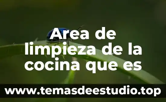 Que es la limpieza en la mineria de datos 7 Area de limpieza de la cocina que es