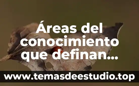 Áreas del conocimiento que definan que es el ser humano