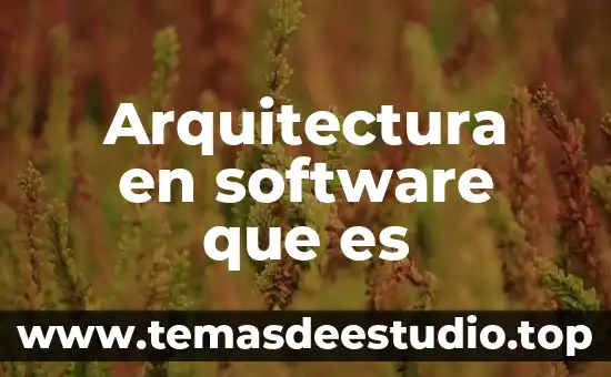 Que es la arquitectura florentina 6 Arquitectura en software que es