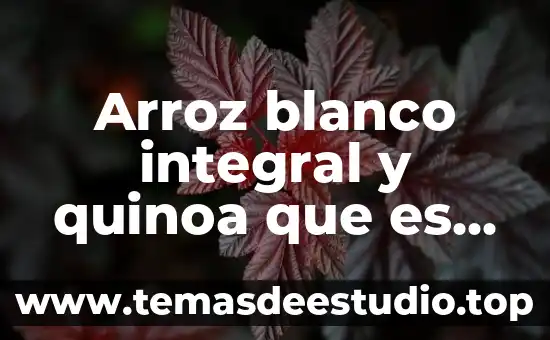 Qué es la tesis integral integradora 3 Arroz blanco integral y quinoa que es mejor