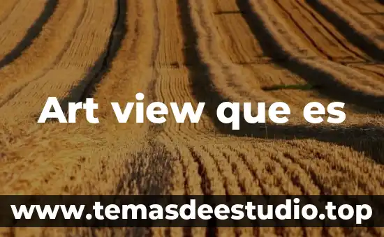 Aermod view que es 3 Art view que es