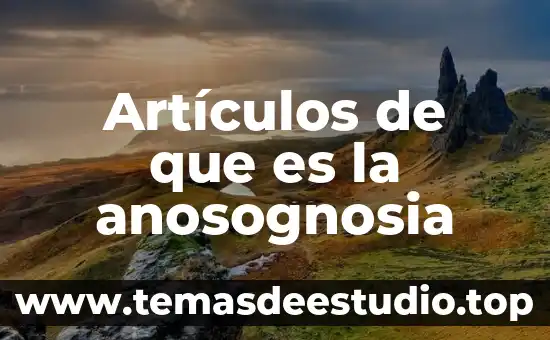 Artículos de que es la anosognosia