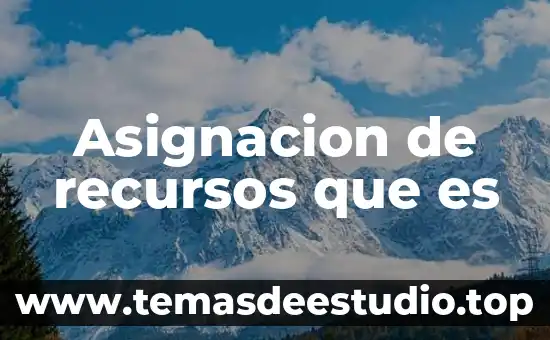 Que es razonamiento de recursos 5 Asignacion de recursos que es