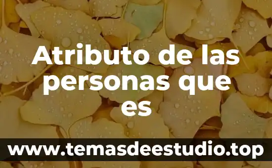 Que es la direccion de personas 6 Atributo de las personas que es