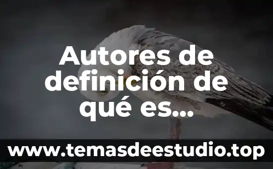 Qué es la amnistía internacional definición 4 Autores de definición de qué es negociación