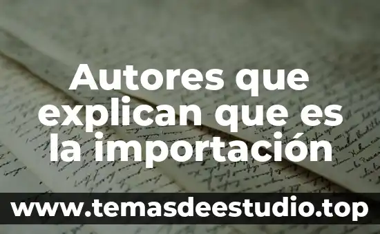 Autores que explican que es la importación