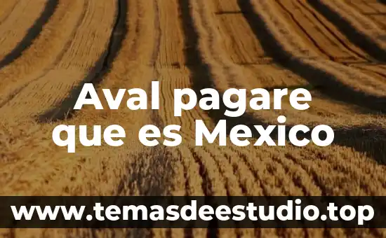 Aval pagare que es Mexico