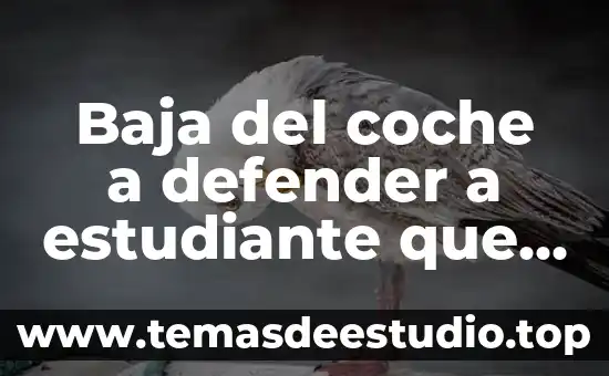 Baja del coche a defender a estudiante que es golpeado